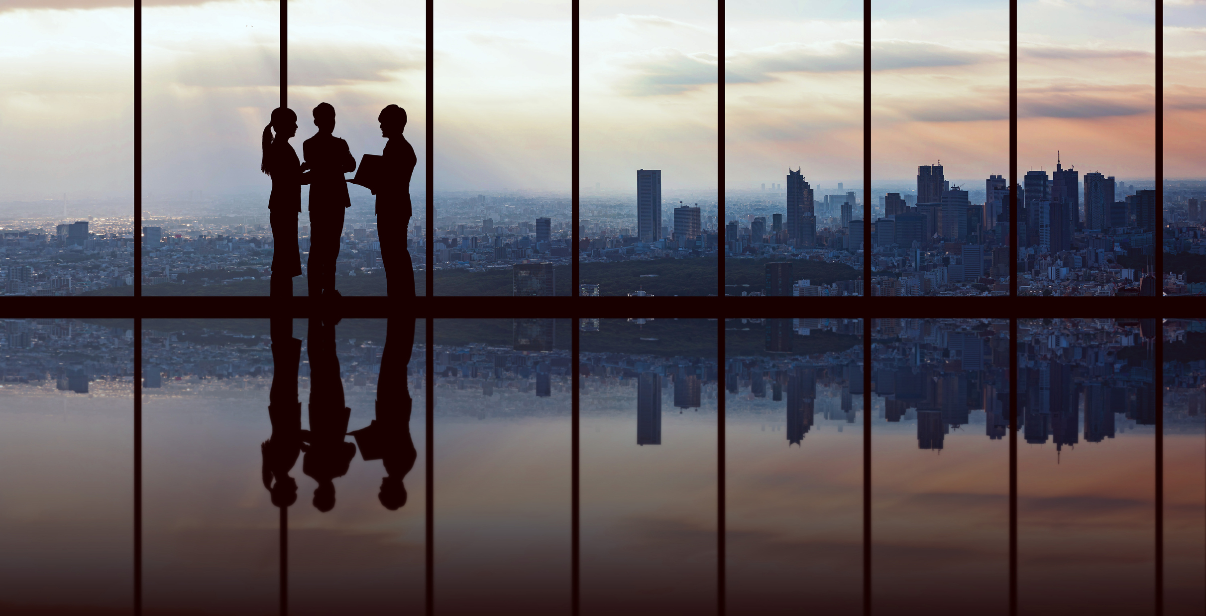 órganos de gobierno